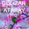 Gülizar Atabay-Bu Aşk Elinden