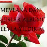 Leyla Yıldırım