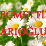 Necmettin Sarıoğlu