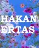 Hakan Ertaş