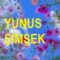 Yunus Şimşek-Gaflet Uykusu