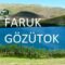 Faruk Gözütok-Mail Oldum