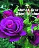 Ahmet Arar