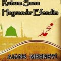 Ajans Mesnevi-Mail Oldum
