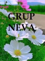 Grup Neva