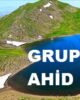 Grup Ahid