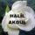 Halil Akgül-Can Resulüm Can Muhammed