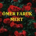 Ömer Faruk Mert-Şehadet Uykusu