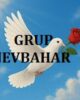 Grup Nevbahar