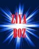 Ziya Boz