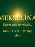 Mekselina