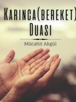Mücahit Akgül